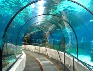bullet-train-project-advances-as-first-section-of-undersea-tunnel-completed.webp