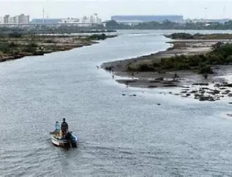 kosasthalaiyar-river-in-chennai.webp