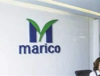 maricos.webp