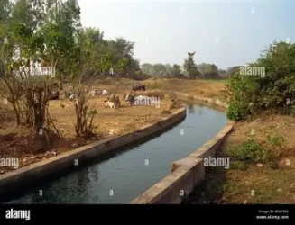 rajasthan-tenders-mega-canal-renovation.webp
