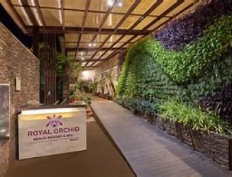 royal-orchid-z7nqf-sippq.webp