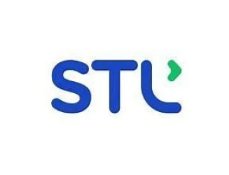stl.webp