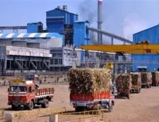 sugar-mills-revival.webp