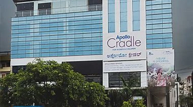 apollo-cradle.webp