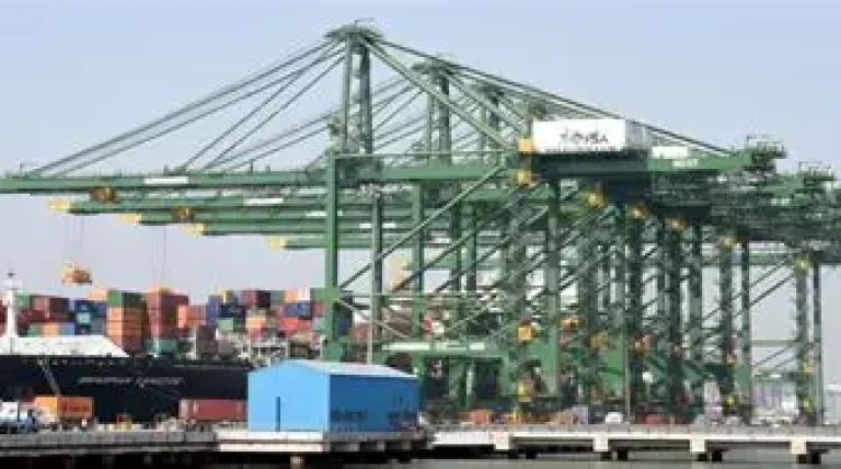 bharat-mumbai-container-terminal.webp