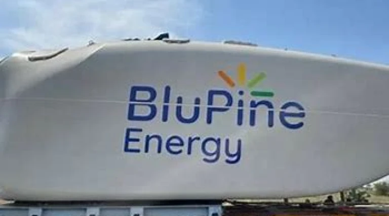 blupine-energy.webp