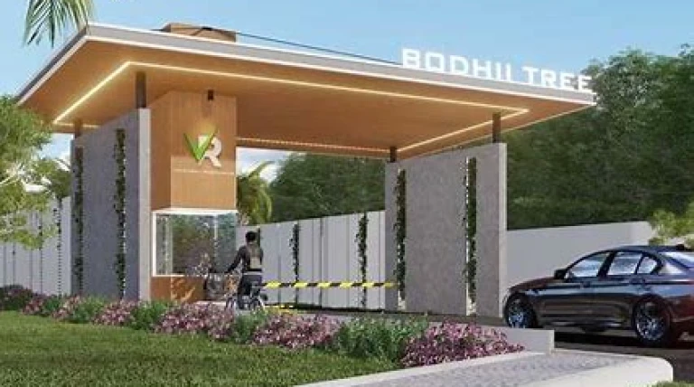 bodhii-tree-project.webp