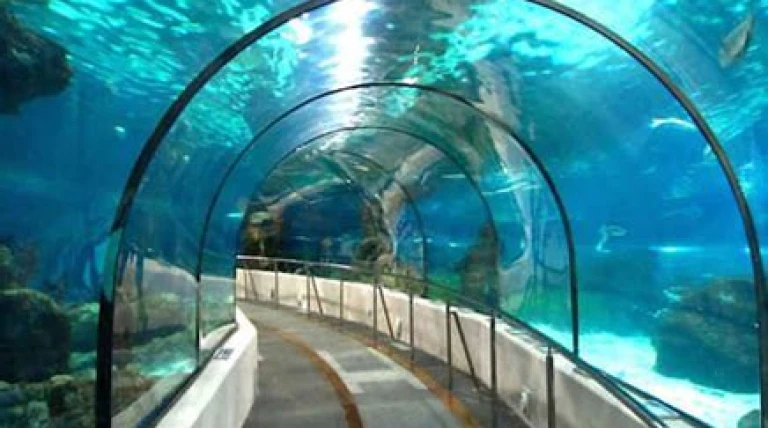bullet-train-project-advances-as-first-section-of-undersea-tunnel-completed.webp
