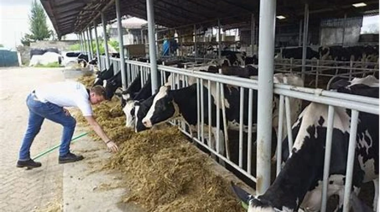 dairy-farm-cum-training-centre.webp