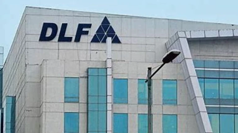 dlf-1.webp