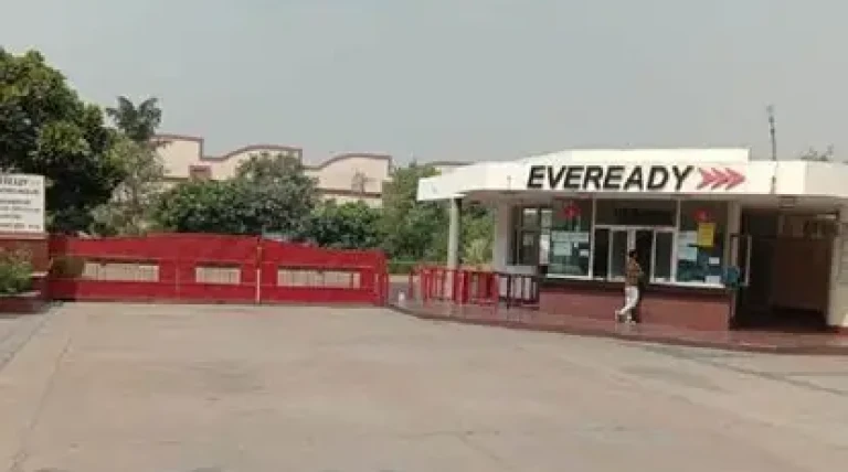 evereadys.webp