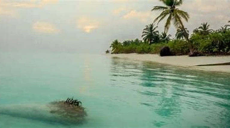experience-the-beauty-of-lakshadweep-at-ihcls-the-coral-pearl.webp