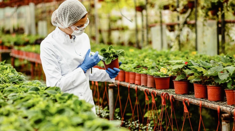 female-biologist-using-syringe-adding-fertilizer-potted-plant-greenhouse.webp