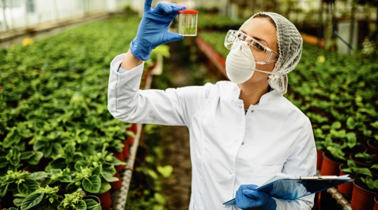 female-botanist-examining-plant-sample-during-quality-control-inspection-greenhouse.webp