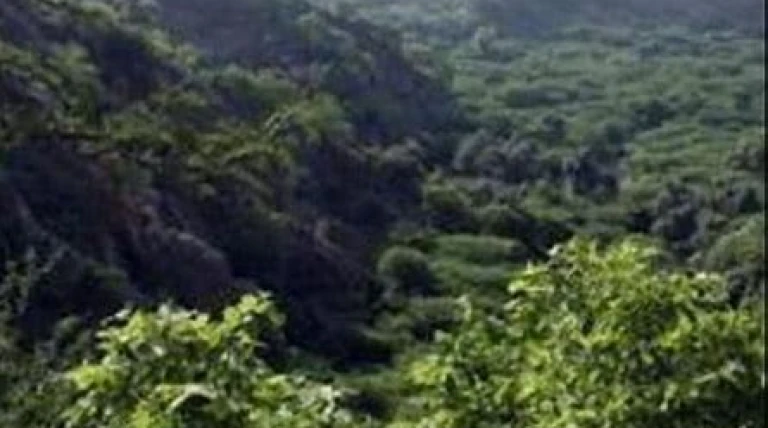 forest-clearance-bonanza-over-300-projects-approved-in-jk.webp