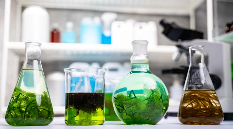 green-alga-laboratory-research-alternative-biofuel-energy-technology-biotechnology-concept-1.webp