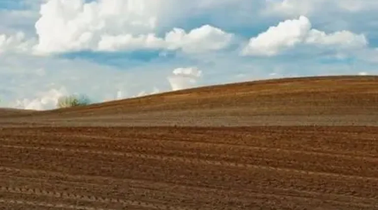 land-acquisition-in-11-infra-projects.webp