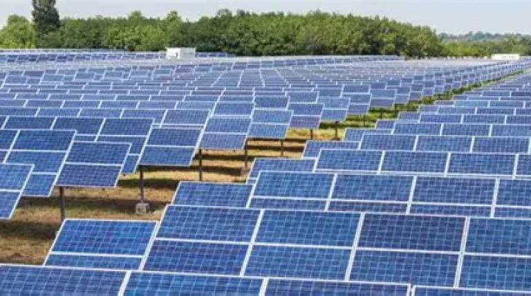maharashtra-cm-fadnavis-inaugurates-two-solar-projects-in-akola.webp