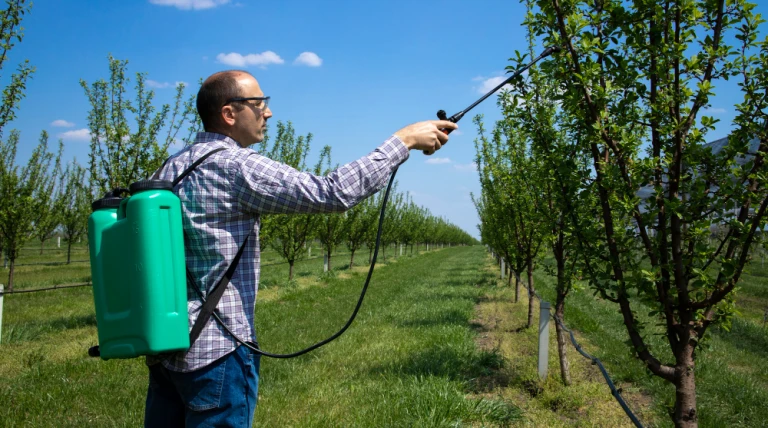 male-agronomist-treating-apple-trees-with-pesticides-orchard.webp