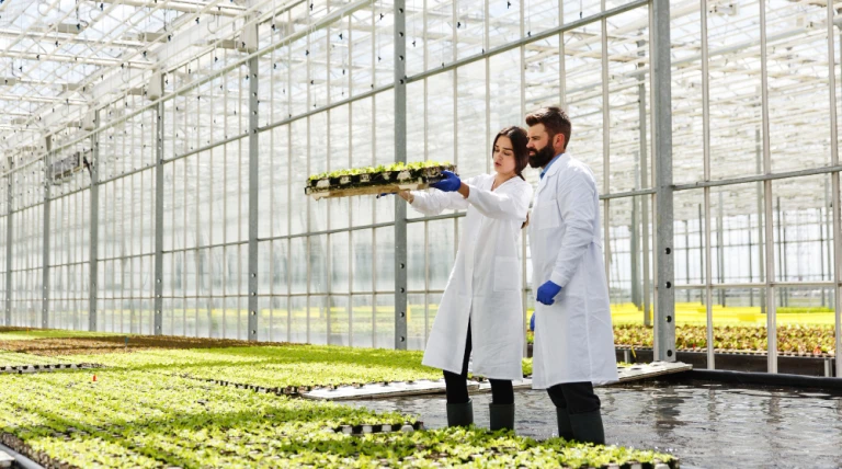 man-woman-laboratory-robes-work-with-green-plants-greenhouse.webp