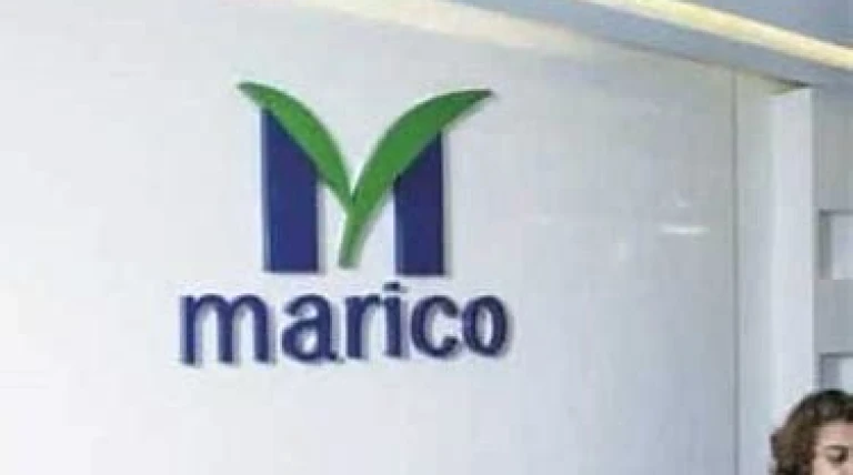 maricos.webp