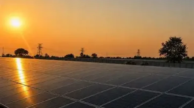 Motherson’s Green Leap: 15 MWp Solar Plant Now Live in UP