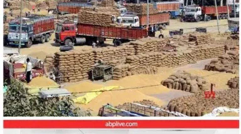 Haryana to Boost Grain Storage by 20 Lakh Metric Tonnes