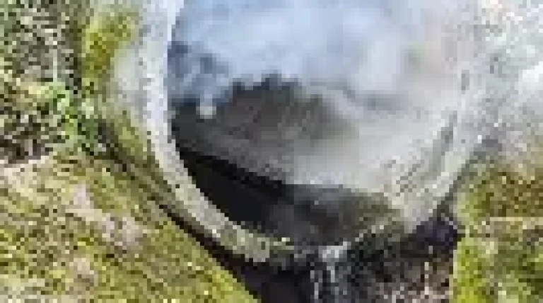 oip-2026-08-29t142110.webp