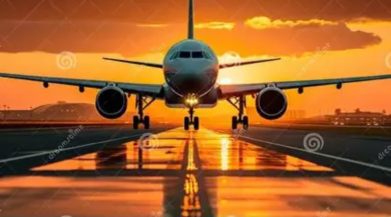 oip-80-kwwhd-bnadu.webp