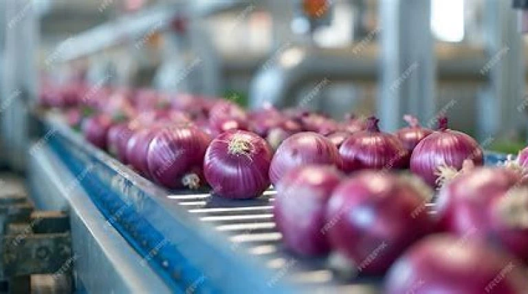 onion-boom.webp