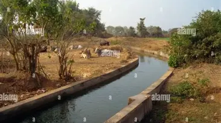 rajasthan-tenders-mega-canal-renovation.webp