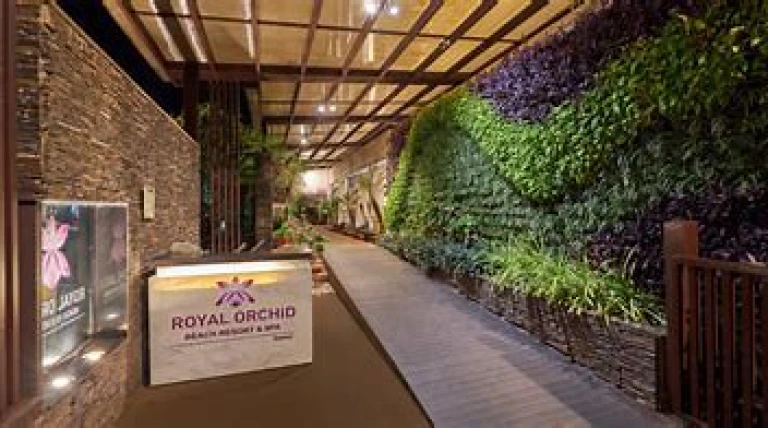 royal-orchid-z7nqf-sippq.webp