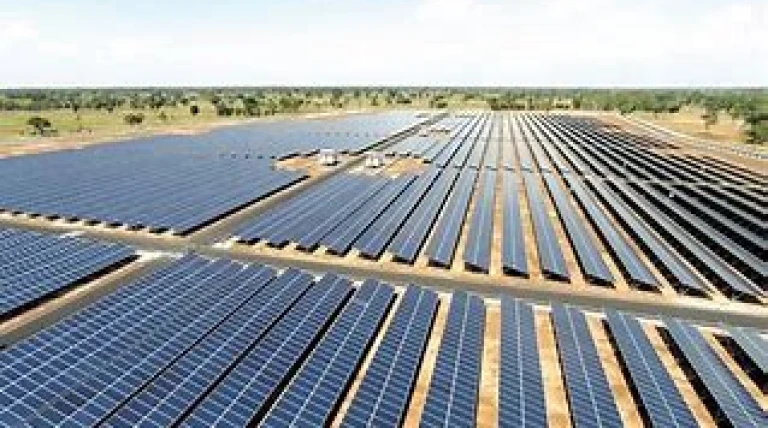 sterling-and-wilson-renewable.webp