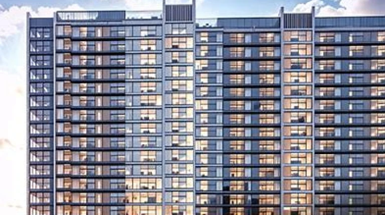 tribeca-launches-trilive.webp