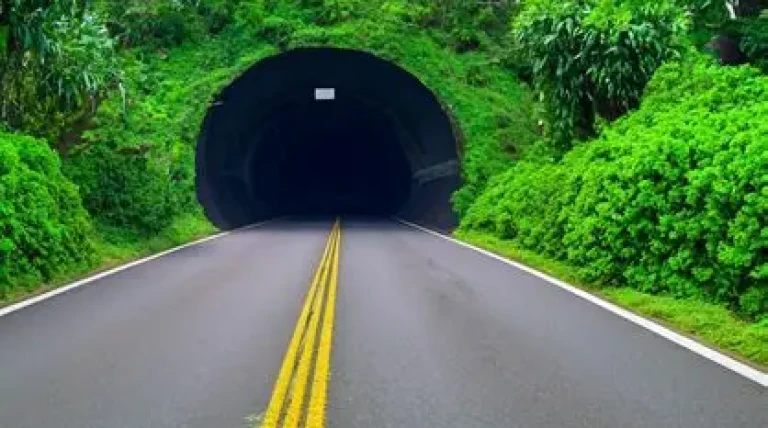 wayanad-tunnel-project.webp