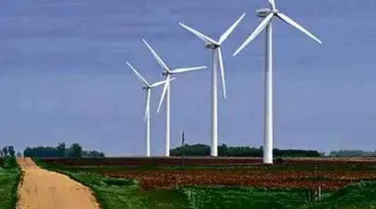 wind-project-in-gujarat.webp